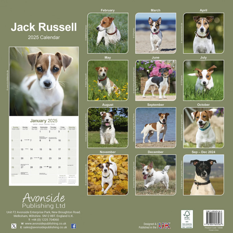 Calendrier Jack Russell 2025