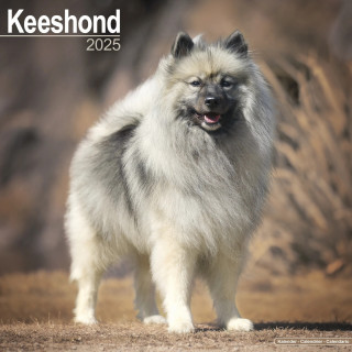 Calendrier Keeshond 2025