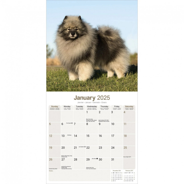 Calendrier Keeshond 2025