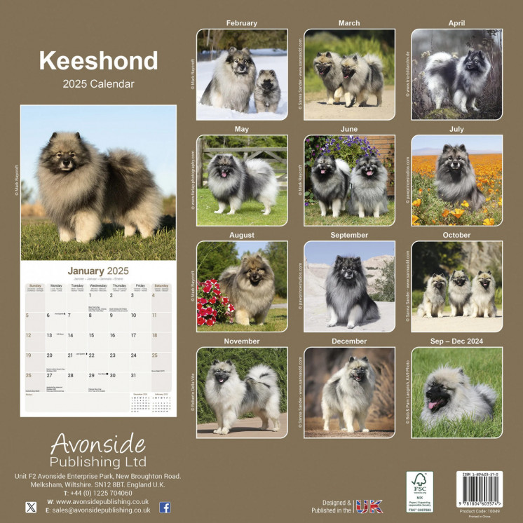 Calendrier Keeshond 2025