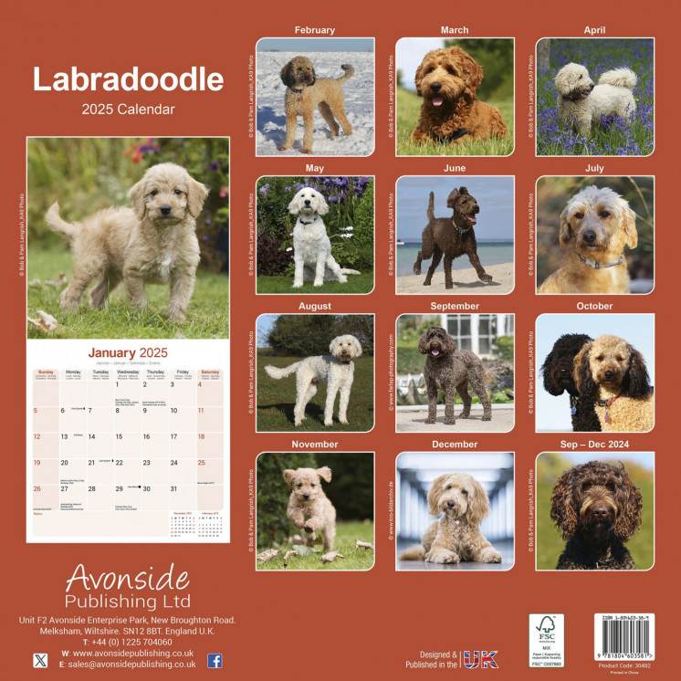 Calendrier Labradoodle 2025