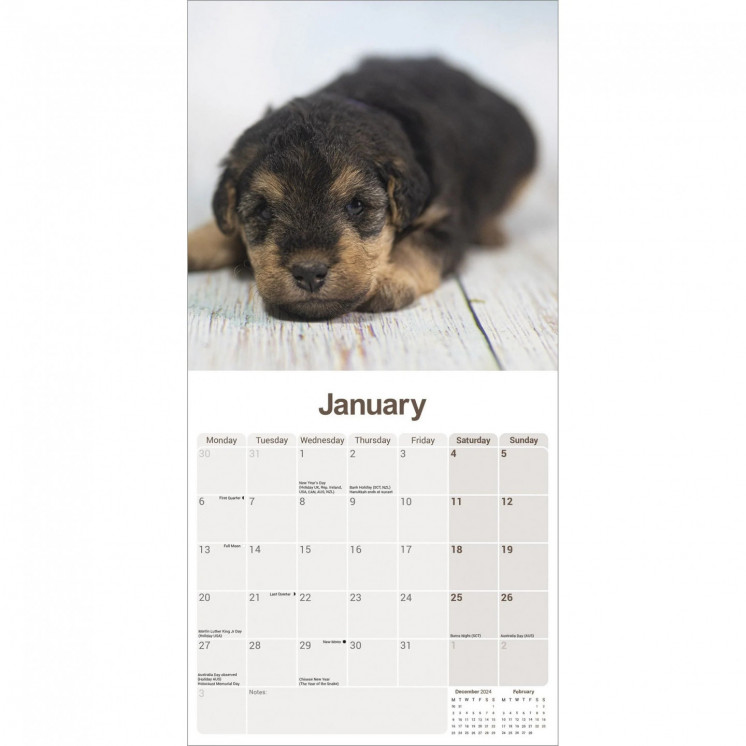 Calendrier Lakeland Terrier 2025