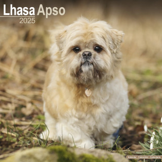 Calendrier Lhassa Apso 2025