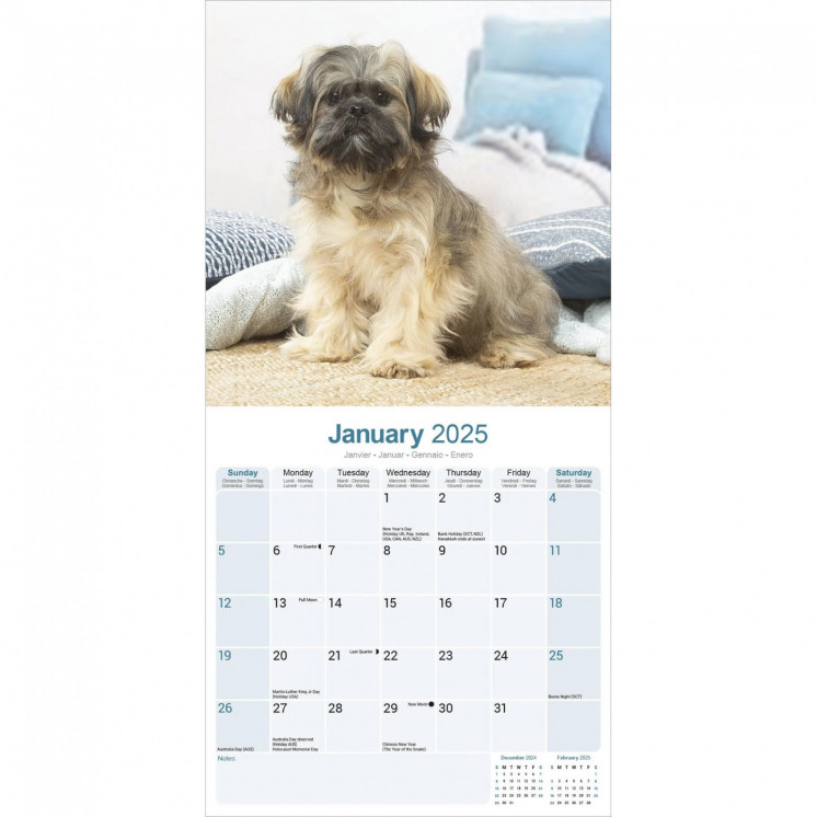 Calendrier Lhassa Apso 2025