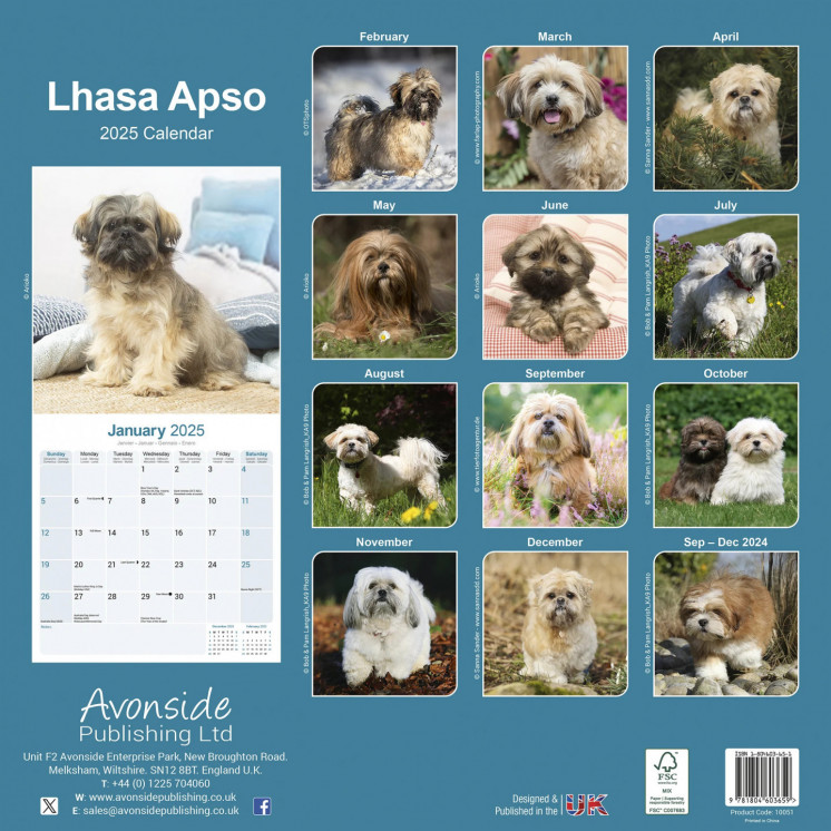 Calendrier Lhassa Apso 2025