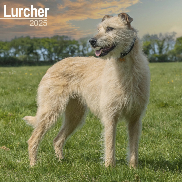 Calendrier Lurcher 2025