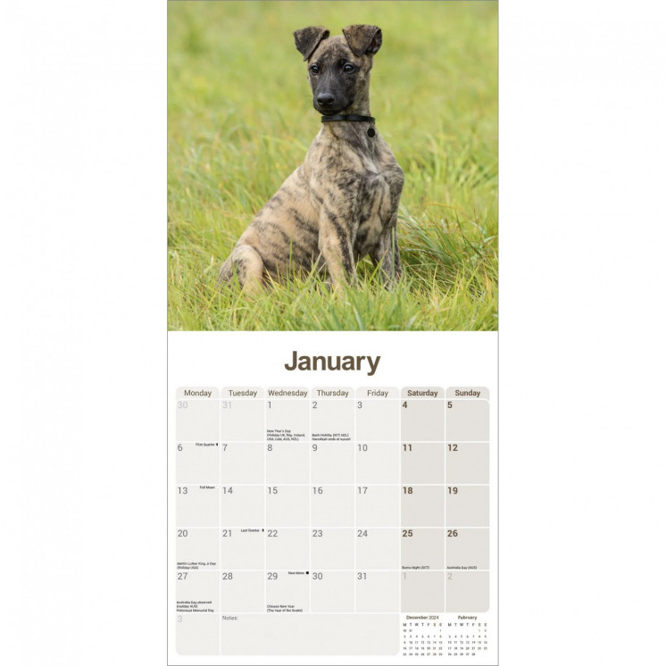 Calendrier Lurcher 2025