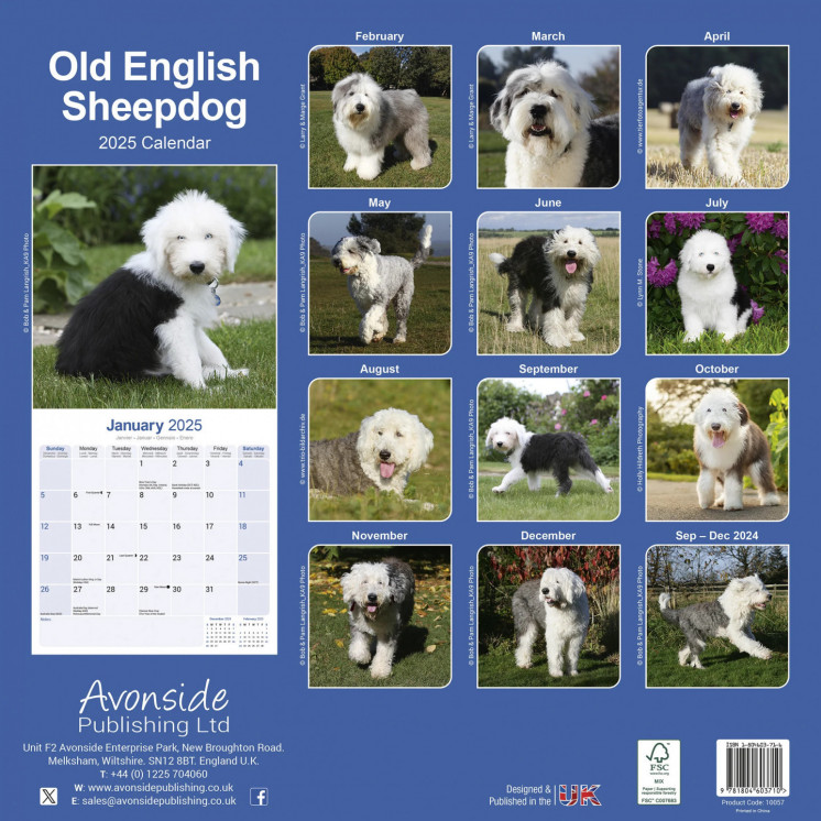 Calendrier vieux chien berger anglais 2025