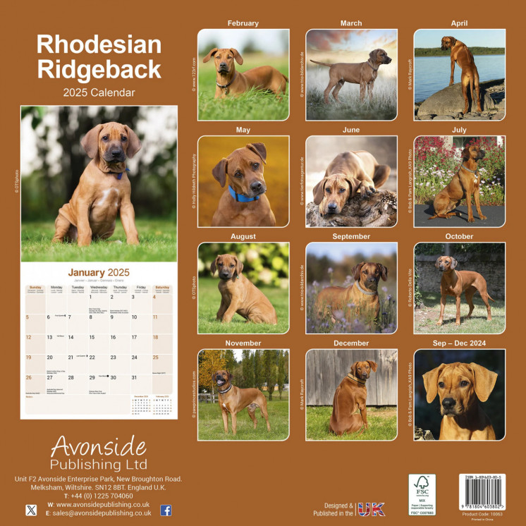 Calendrier Rhodesian Ridgeback 2025