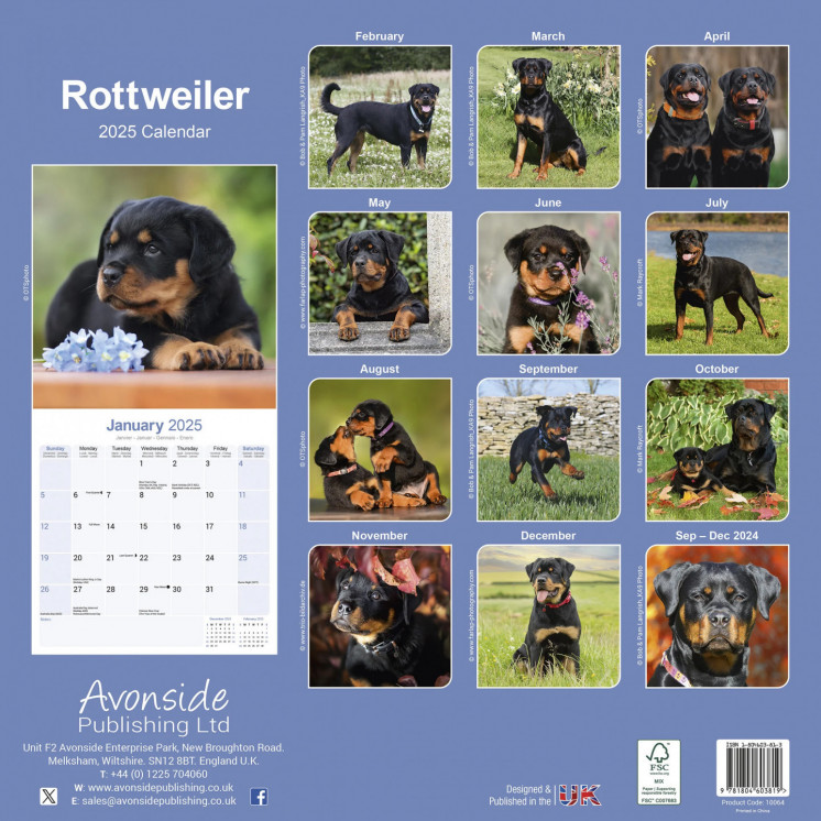 Calendrier Rottweiler 2025