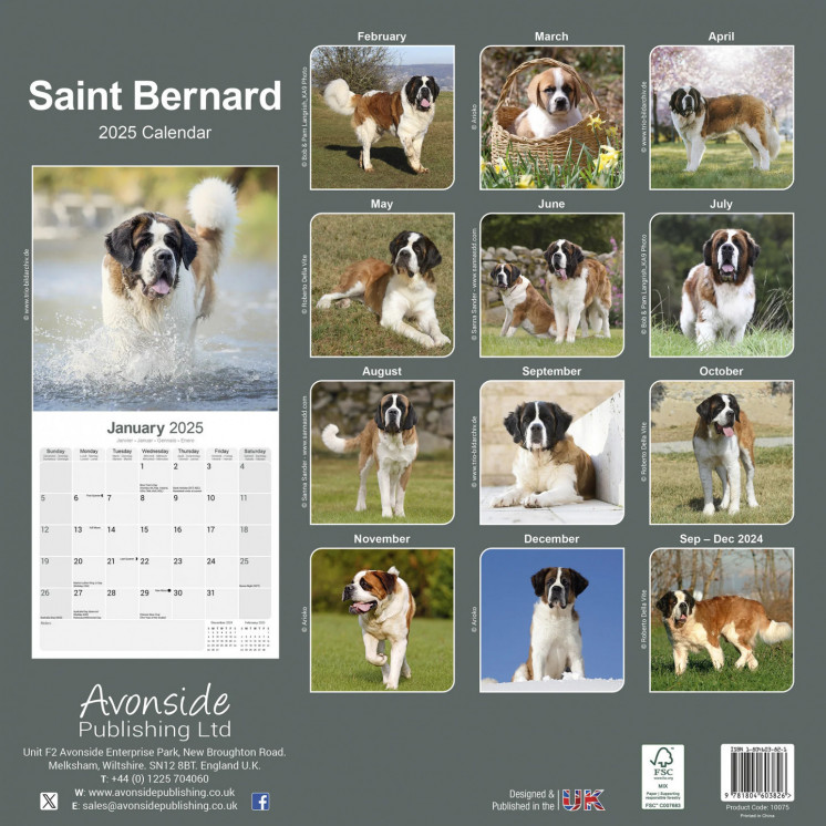 Calendrier Saint-Bernard 2025