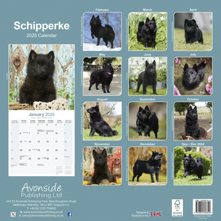 Calendrier Schipperke 2025