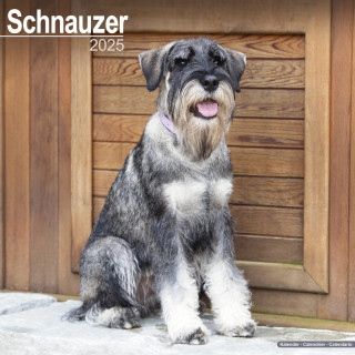 Calendrier Schnauzer 2025