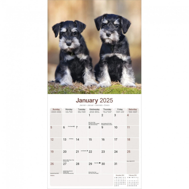 Calendrier Schnauzer 2025