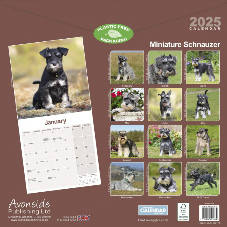 Calendrier Miniature Schnauzer 2025