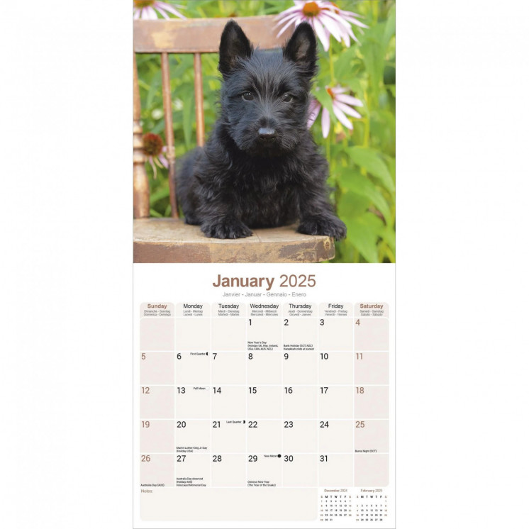 Calendrier écossais Terrier 2025