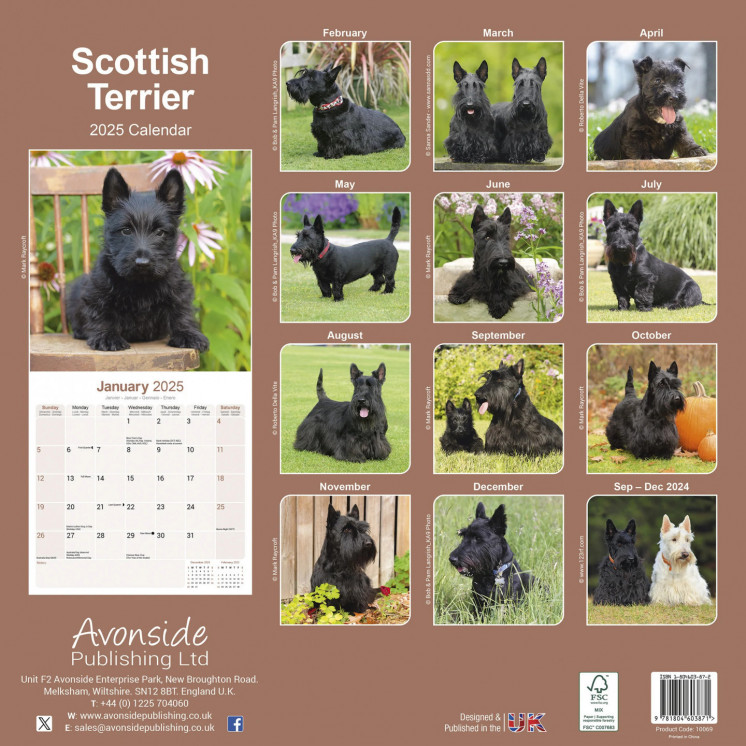 Calendrier écossais Terrier 2025