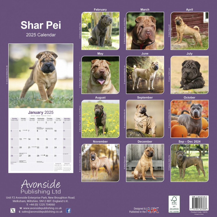 Calendrier Shar Pei 2025