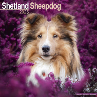 Calendrier Berger Shetland 2025