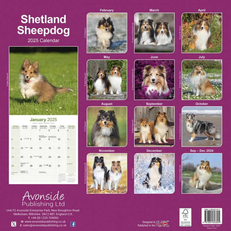 Calendrier Berger Shetland 2025