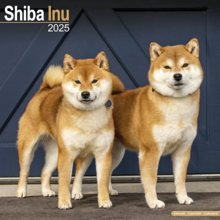 Calendrier Shiba Inu 2025