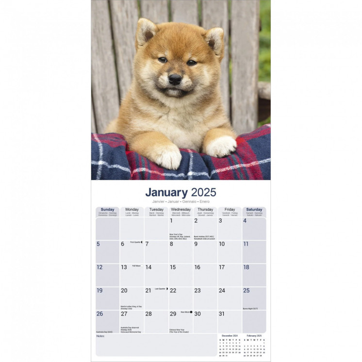 Calendrier Shiba Inu 2025