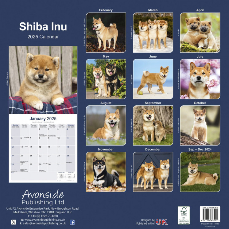 Calendrier Shiba Inu 2025