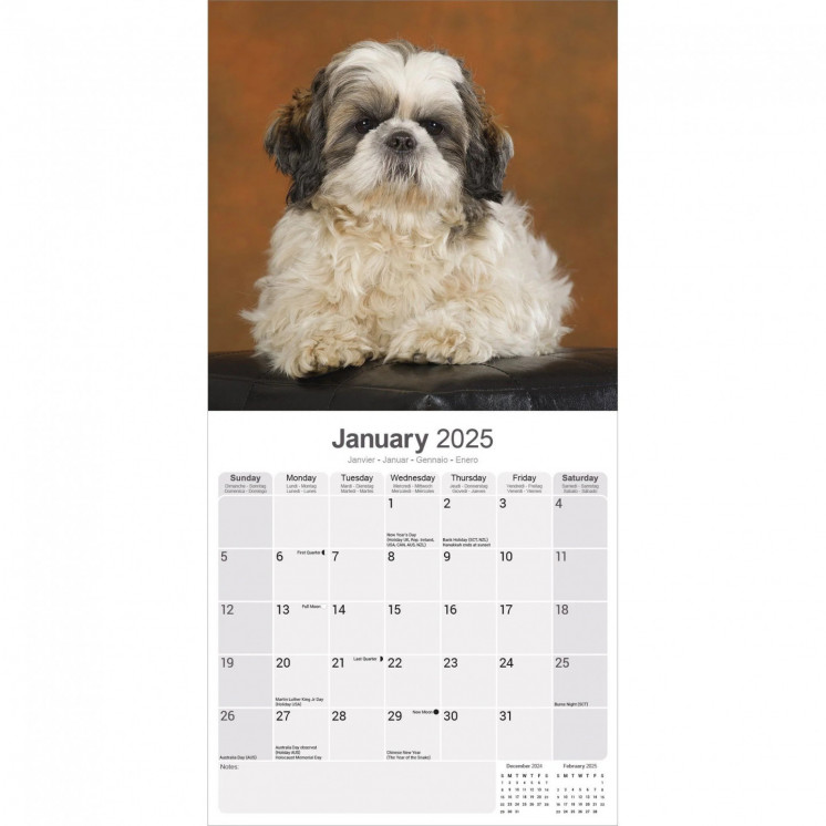 Calendrier Shih Tzu 2025