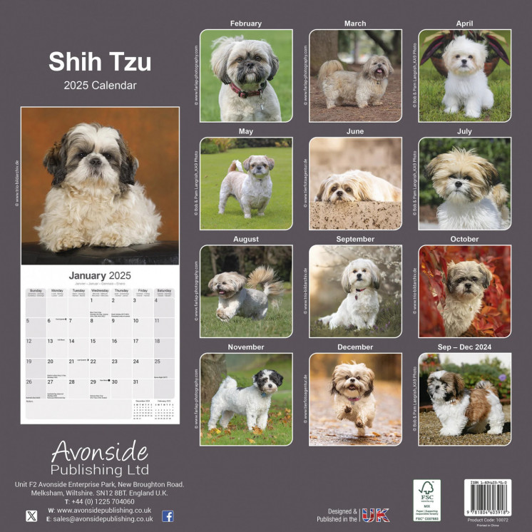 Calendrier Shih Tzu 2025