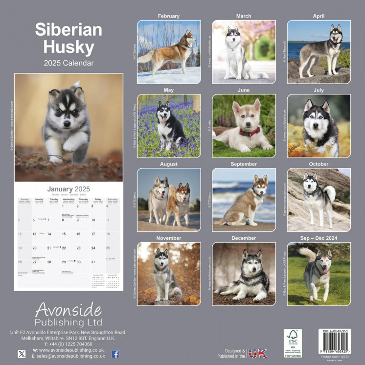 Calendrier Husky Sibérien 2025