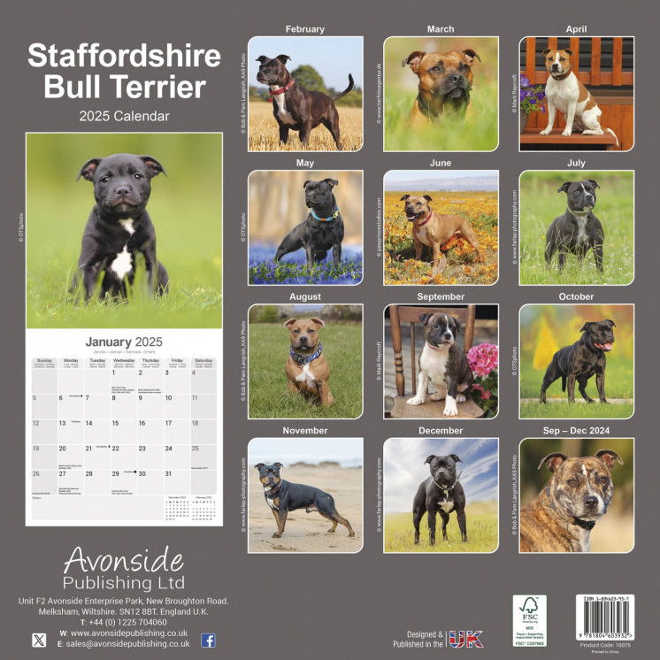 Calendrier Staffordshire Bull Terrier 2025