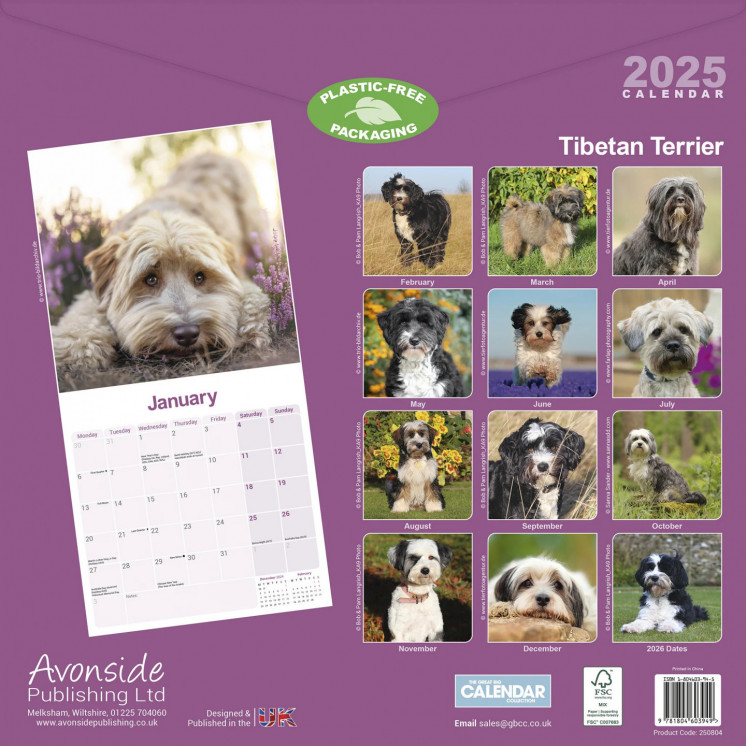 Calendrier Tibétain Terrier 2025