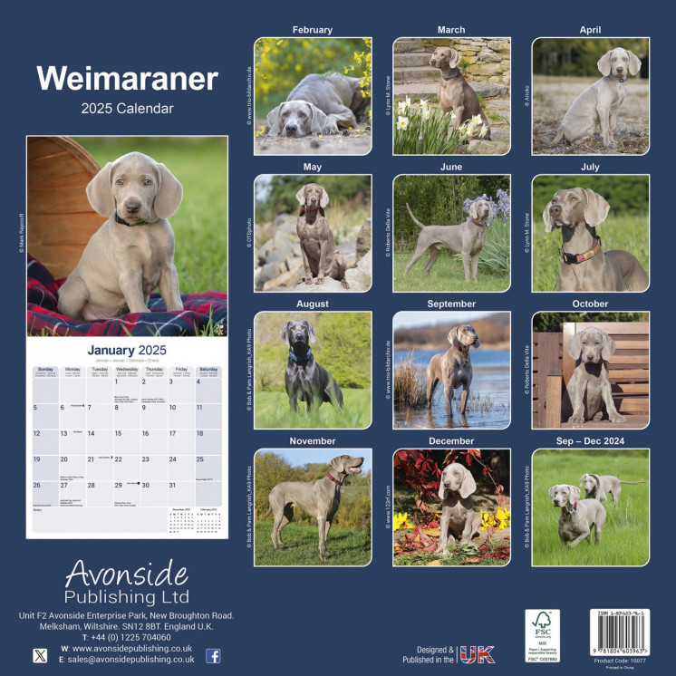 Calendrier Braque Weimar 2025