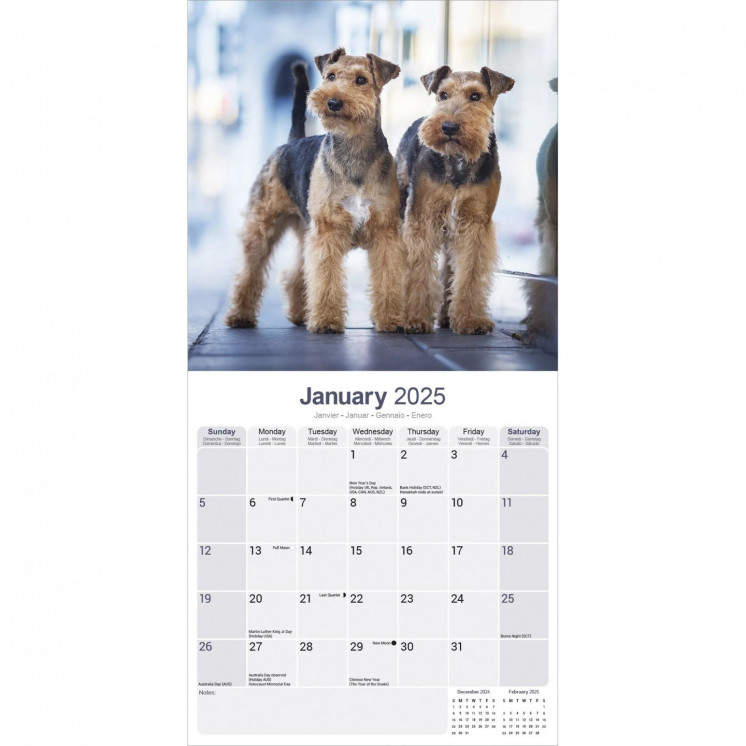 Calendrier Welsh Terrier 2025