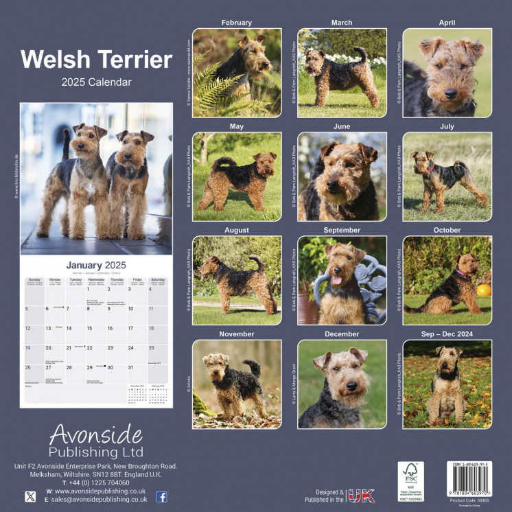 Calendrier Welsh Terrier 2025