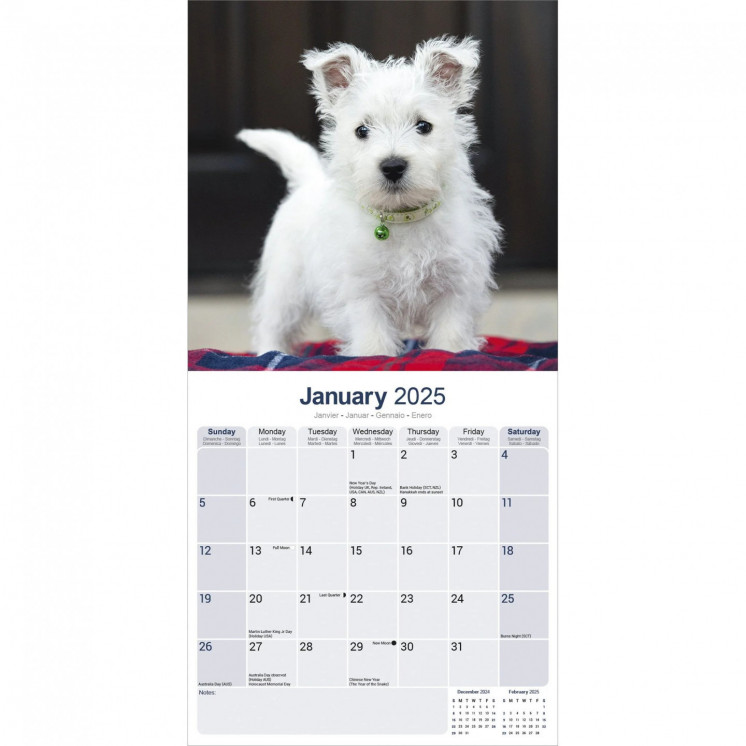 Calendrier West Highland Westie Terrier 2025