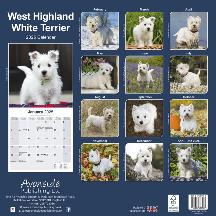 Calendrier West Highland Westie Terrier 2025