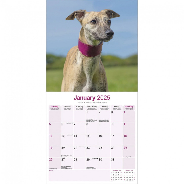 Calendrier Whippet 2025