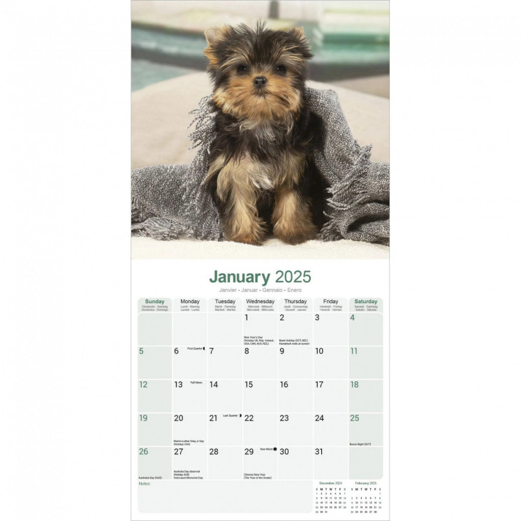 Calendrier Yorkshire Terrier 2025