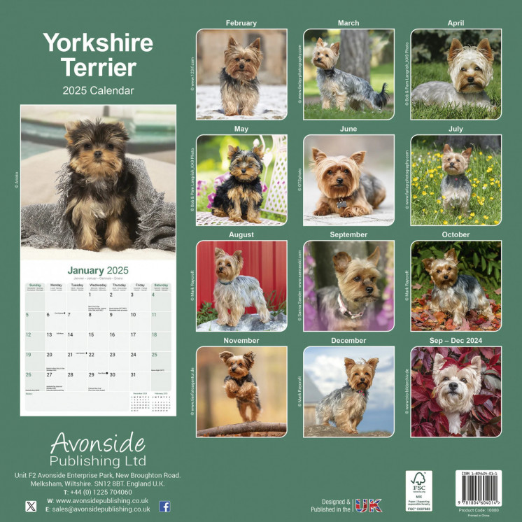 Calendrier Yorkshire Terrier 2025