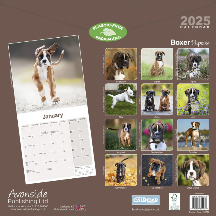 Calendrier Chiots Boxer 2025