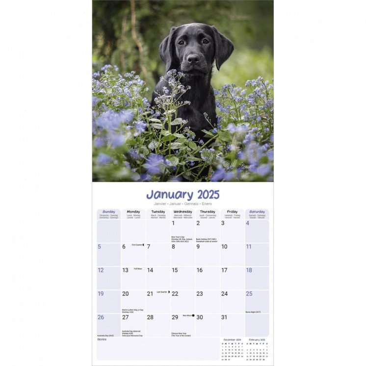 Calendrier Chiots 2025