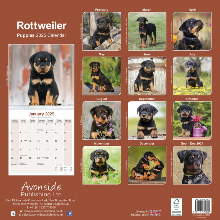 Calendrier Chiots Rottweiler 2025