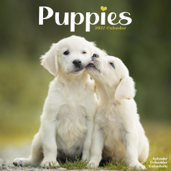 Calendrier Chiots 2027 En précommande 