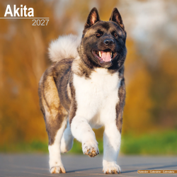 Calendrier Akita 2027