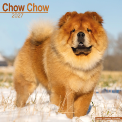 Calendrier Chow Chow 2027