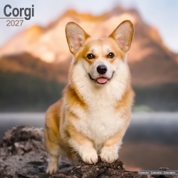 Calendrier Corgi 2027